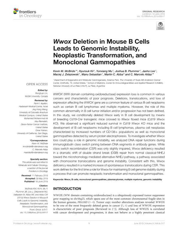 Wwox Deletion In Mouse B Cells Leads To Genomic Instability Neoplastic Transformation And Monoclonal Gammopathies