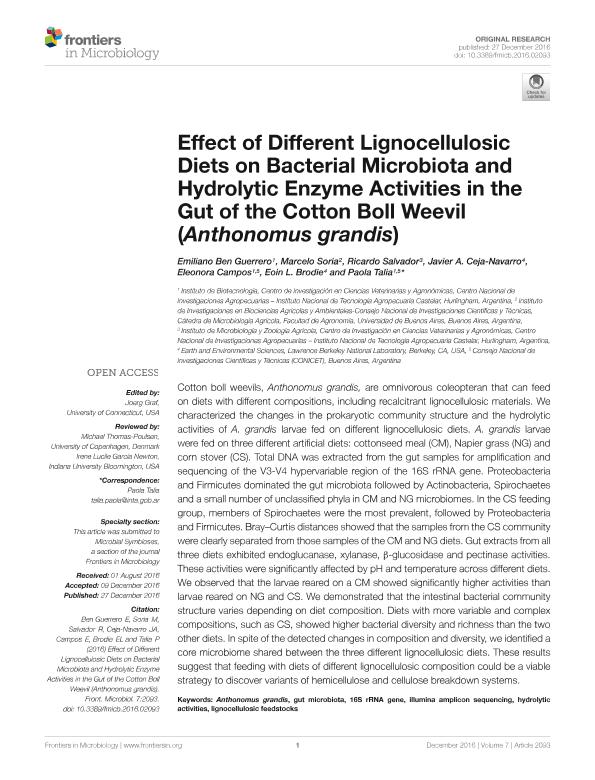 Effect of different lignocellulosic diets on bacterial microbiota