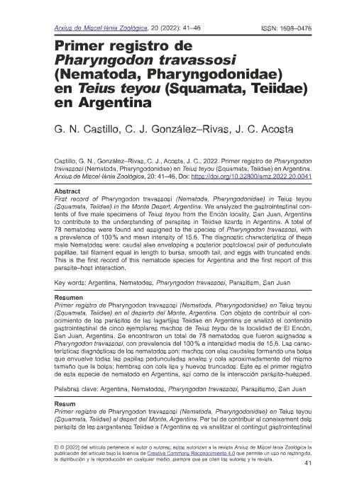PDF) Nematode parasites in the lizards Salvator rufescens, Teius teyou  (Teiidae) and Homonota underwoodi (Phyllodactylidae) from the Monte Region  in Central-Western Argentina
