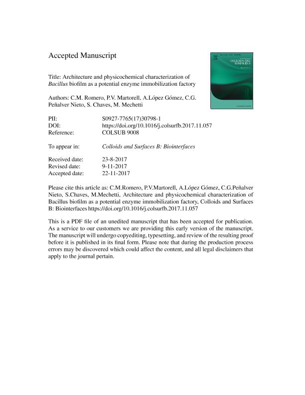 Architecture And Physicochemical Characterization Of Bacillus Biofilm As A Potential Enzyme Immobilization Factory